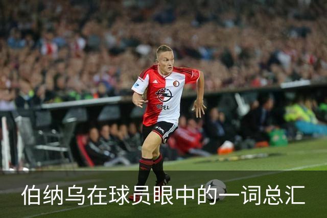 伯纳乌在球员眼中的一词总汇