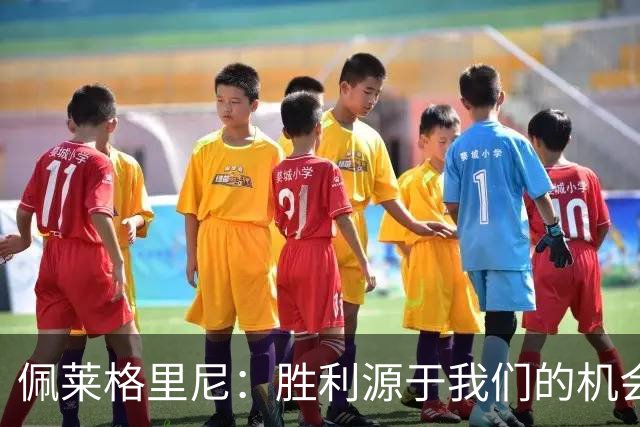 佩莱格里尼：胜利源于我们的机会把握，裁判并非关键